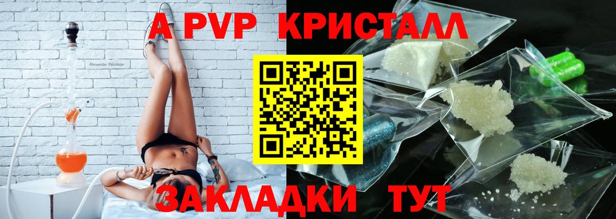 Альфа ПВП СК КРИС Ростов-на-Дону