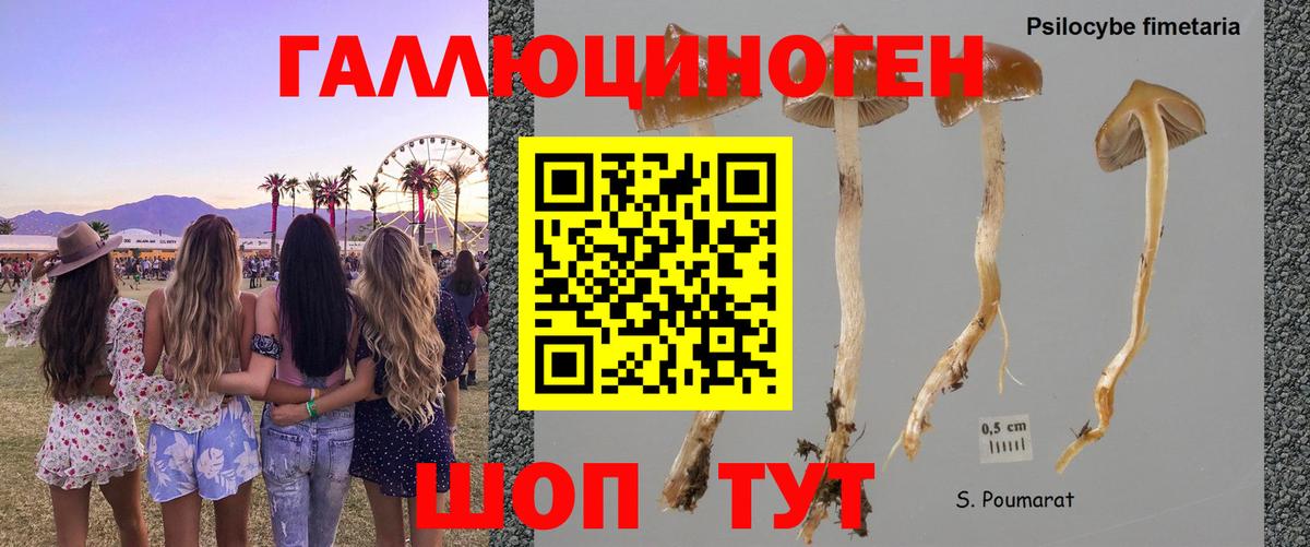 Ростов-на-Дону  хочу наркоту  Вход с VPN  Галлюциногенные грибы GOLDEN TEACHER 