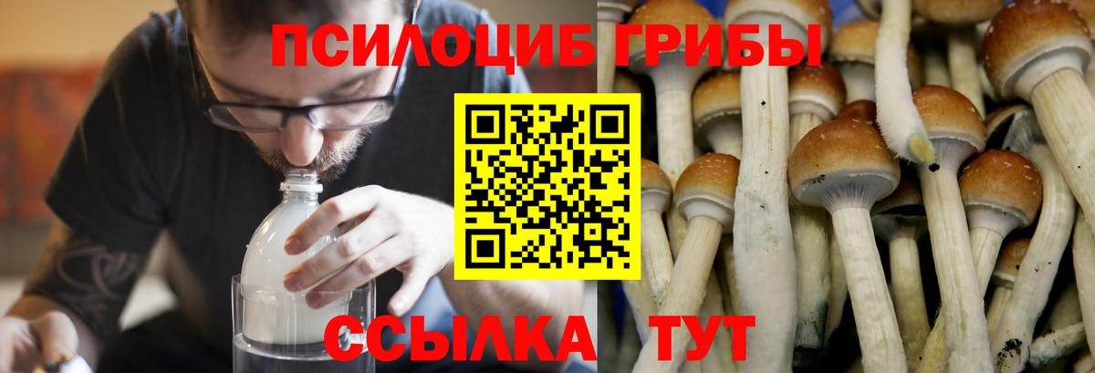 Псилоцибиновые грибы MAGIC MUSHROOMS Ростов-на-Дону